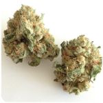 Шишки "White Widow"  (Белая вдова)  Гидропоника -  Бошка VHQ в Чадане